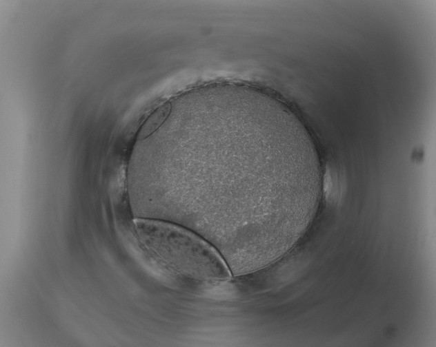 X0000112911492200909071522