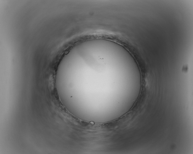 X0000112911493200909071522