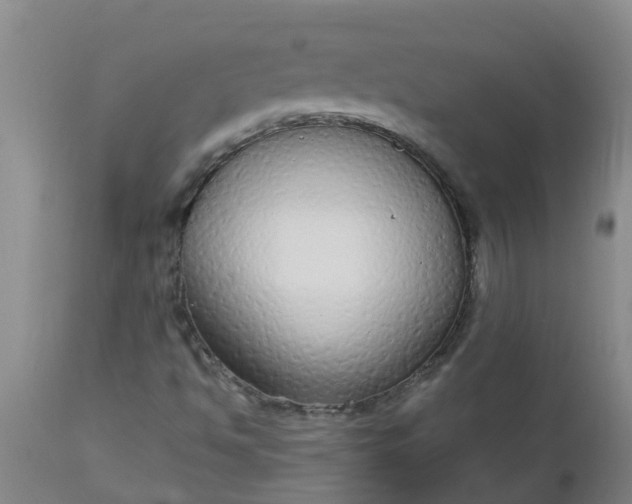 X0000112911494200909071522