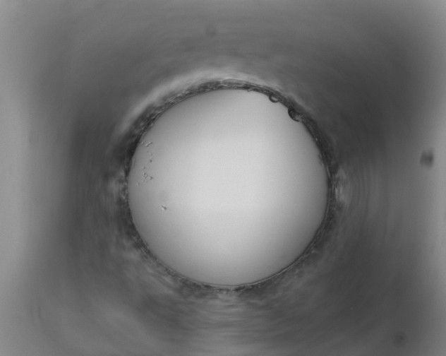 X0000112911495200909071522