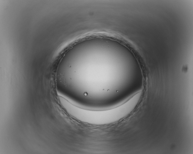 X0000112911496200909071522