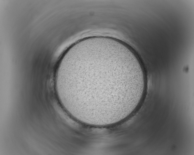 X0000112911498200909071522