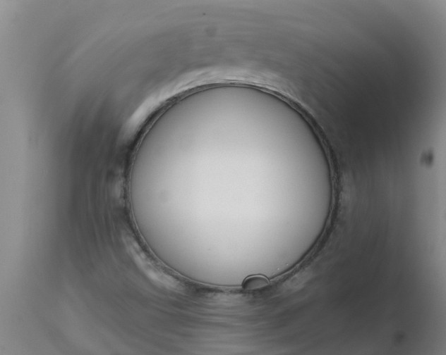 X0000112911499200909071522