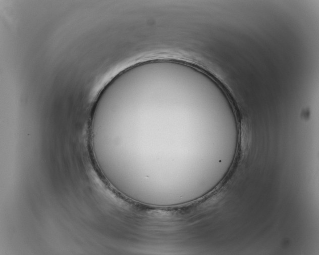 X0000112911500200909071522