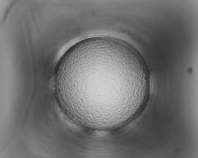 X0000112911501200909071522