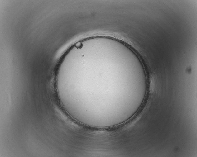 X0000112911502200909071522