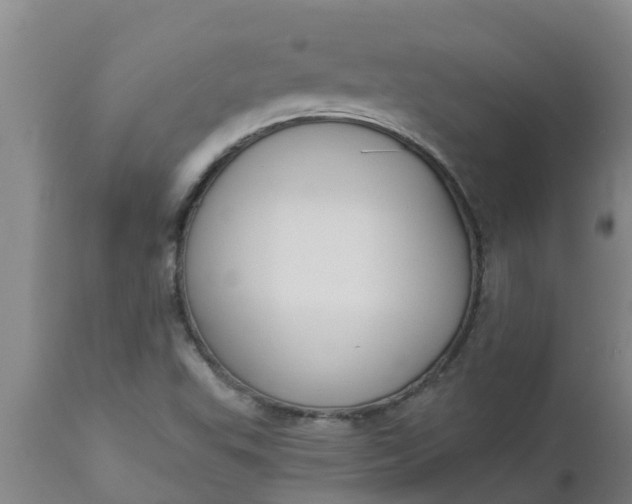 X0000112911503200909071522