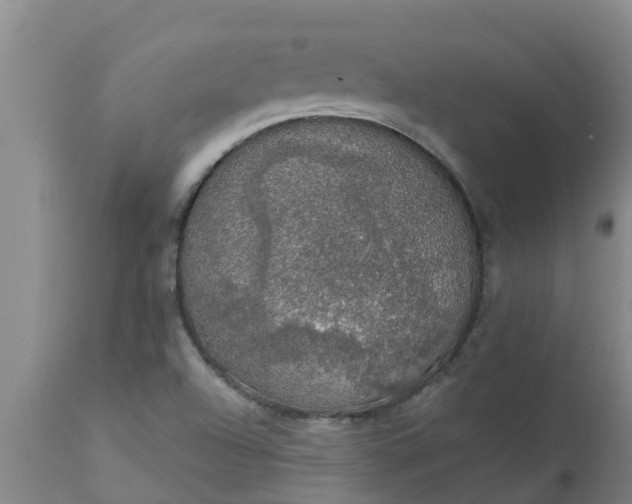 X0000112911504200909071522