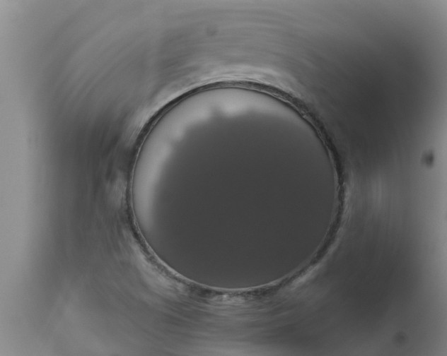 X0000112911505200909071522