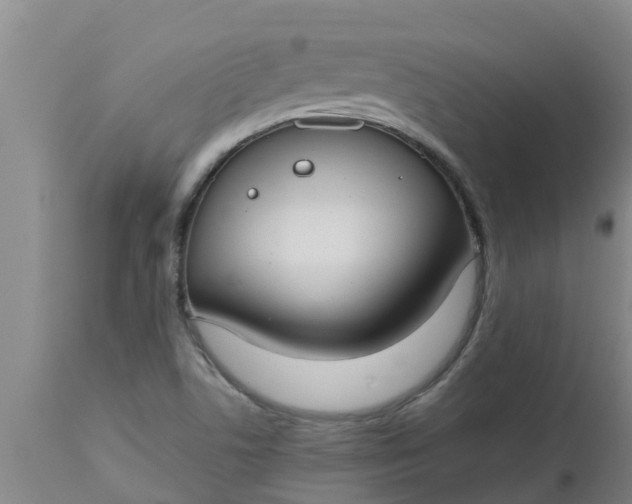 X0000112911506200909071522