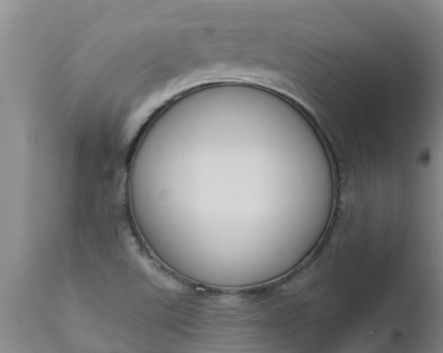 X0000112911507200909071522