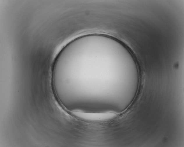 X0000112911508200909071522