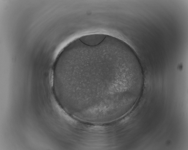 X0000112911510200909071522