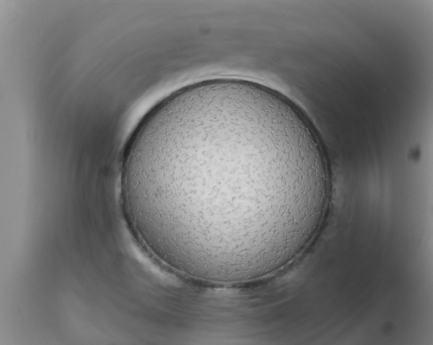 X0000112911511200909071522