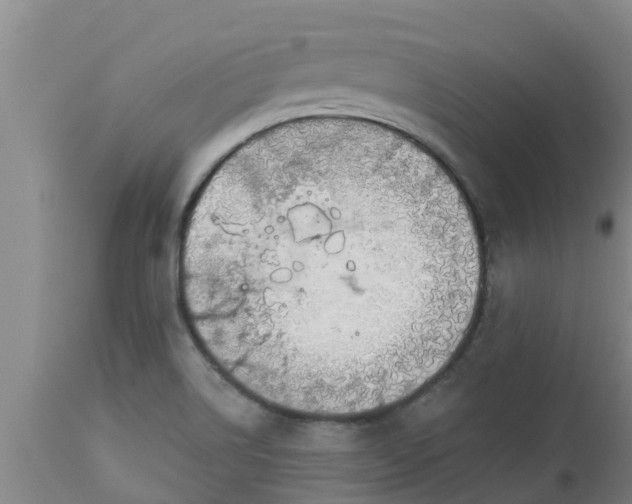 X0000112911514200909071522