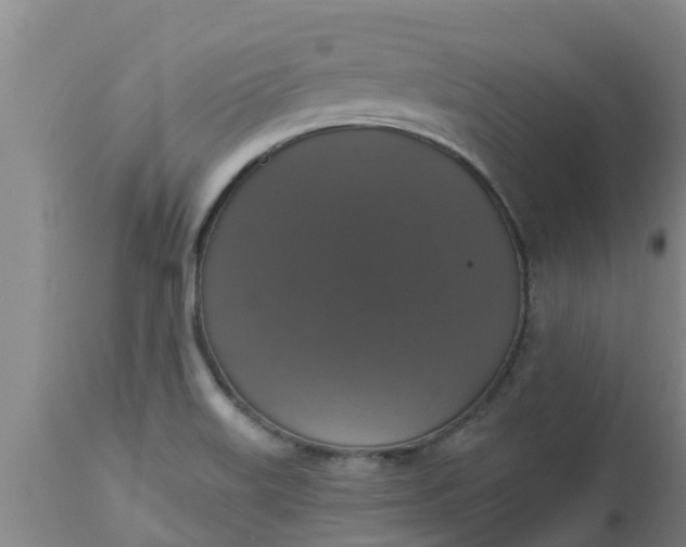 X0000112911515200909071522