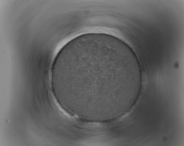 X0000112911517200909071522