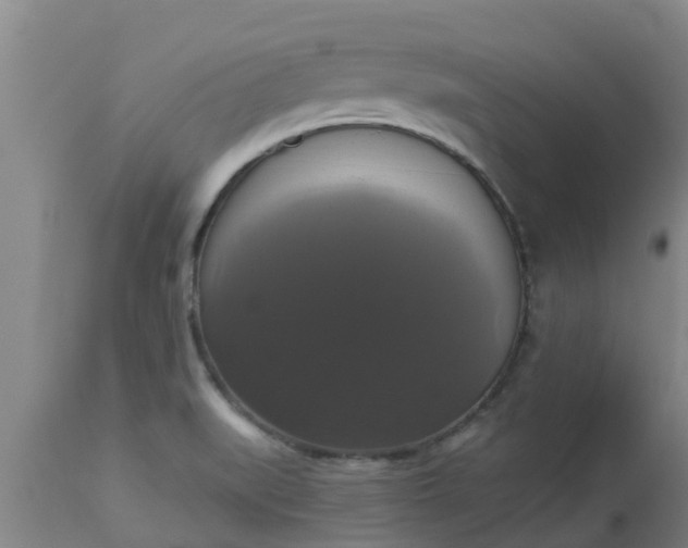 X0000112911519200909071522