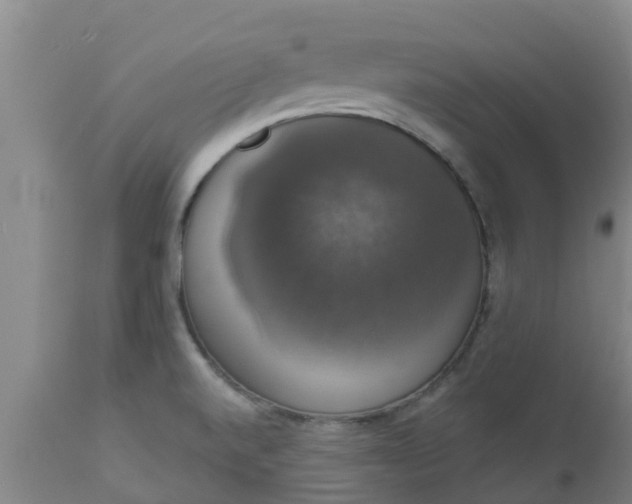 X0000112911520200909071522