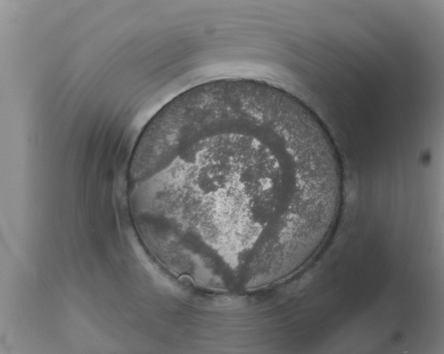 X0000112911521200909071522