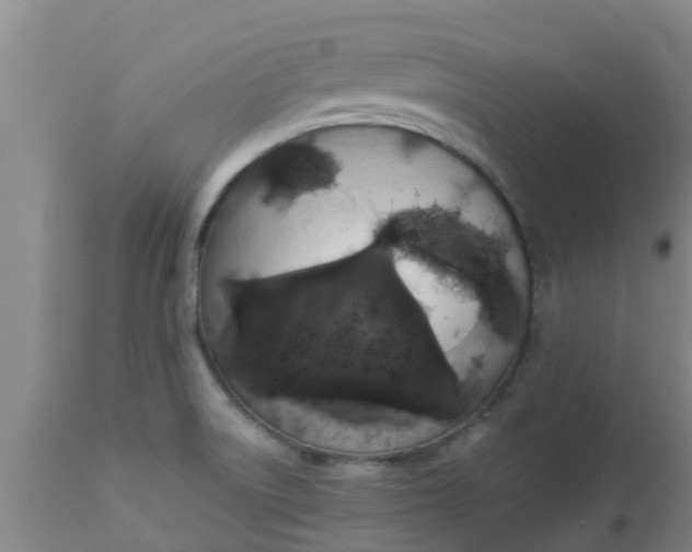 X0000112911522200909071522