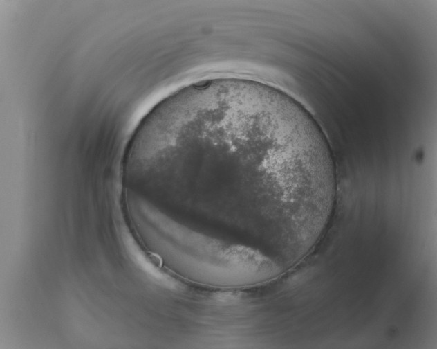 X0000112911523200909071522