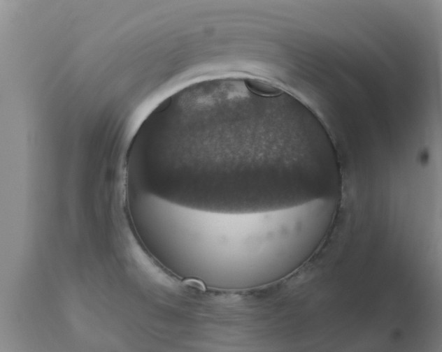 X0000112911524200909071522