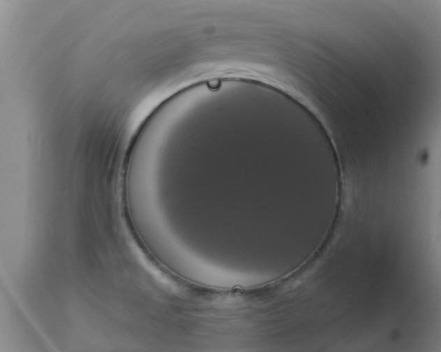 X0000112911525200909071522