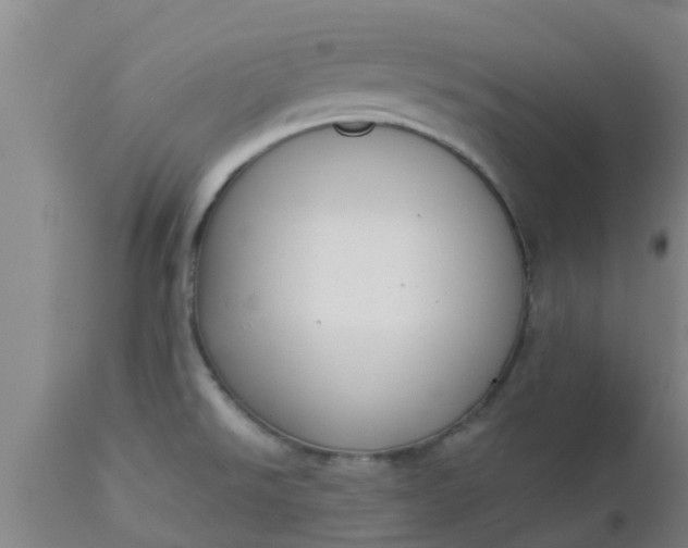 X0000112911526200909071522