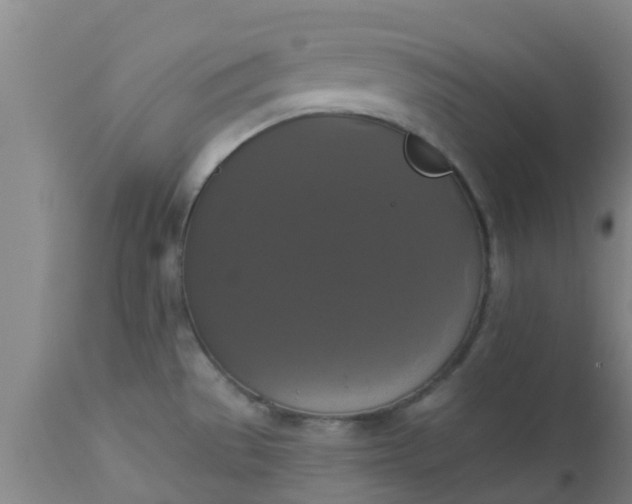 X0000112911529200909071522