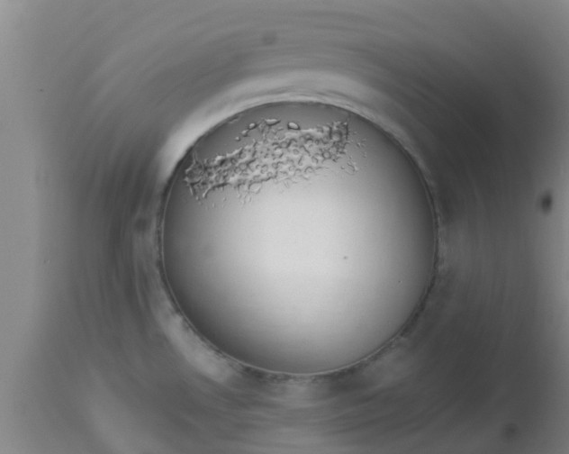 X0000112911530200909071522