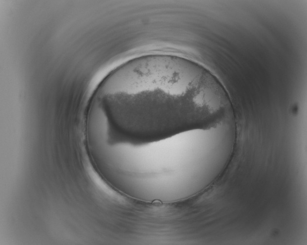 X0000112911531200909071522