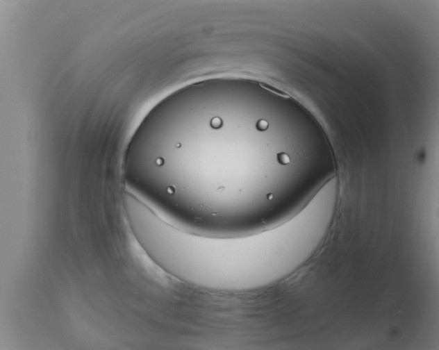 X0000112911532200909071522