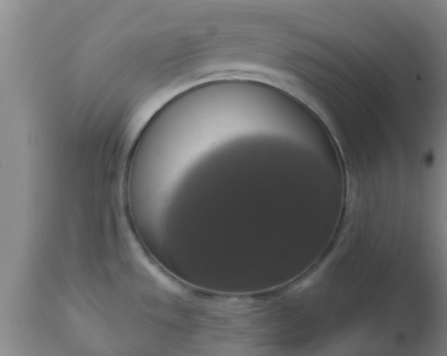 X0000112911533200909071522