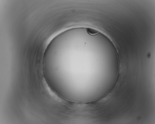 X0000112911534200909071522