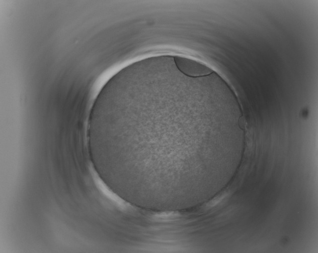 X0000112911535200909071522