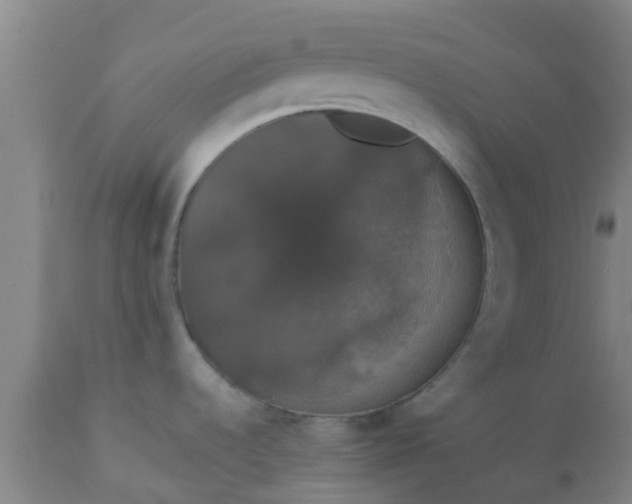 X0000112911536200909071523