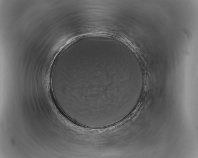 X0000112910002200909141301