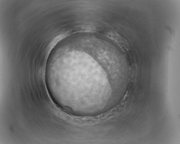 X0000112910003200909141301