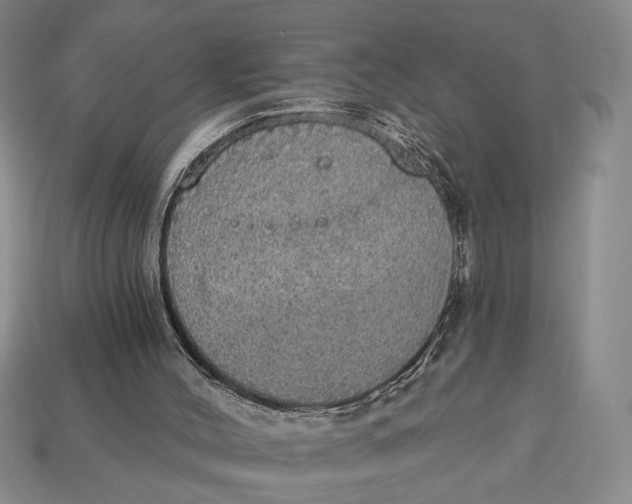 X0000112910004200909141301