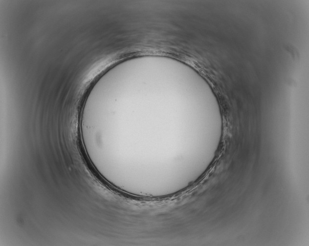 X0000112910005200909141301