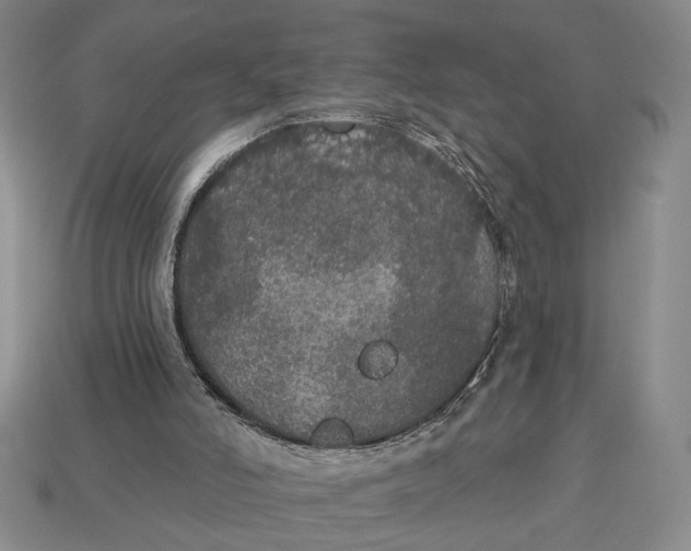 X0000112910006200909141301