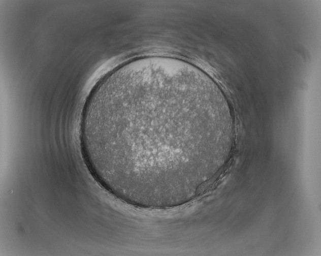 X0000112910007200909141301