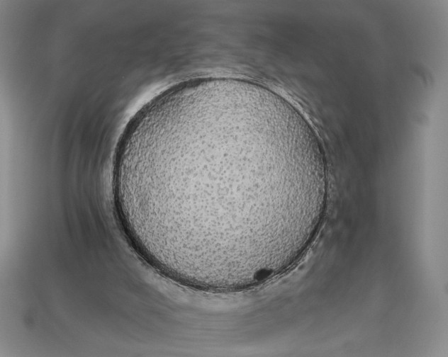 X0000112910008200909141301