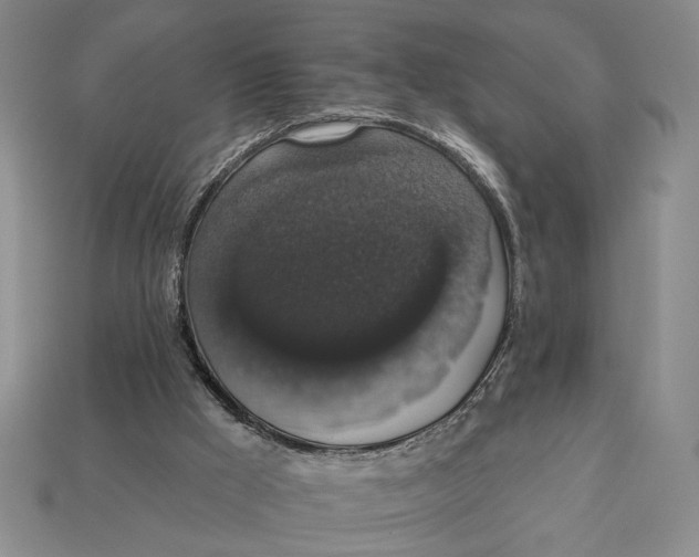 X0000112910009200909141301