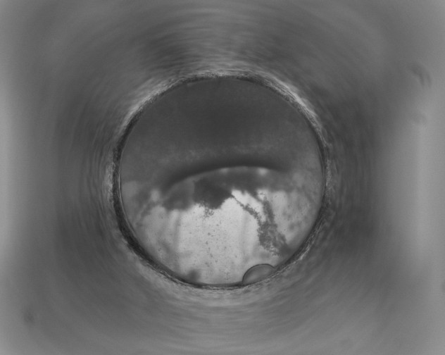 X0000112910010200909141301