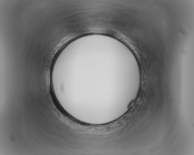 X0000112910011200909141301