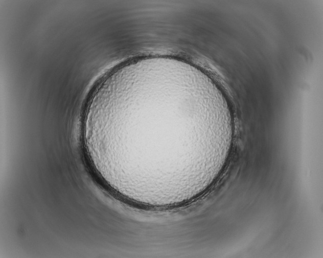 X0000112910012200909141301