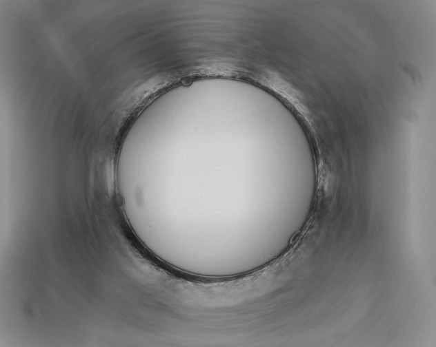 X0000112910013200909141301