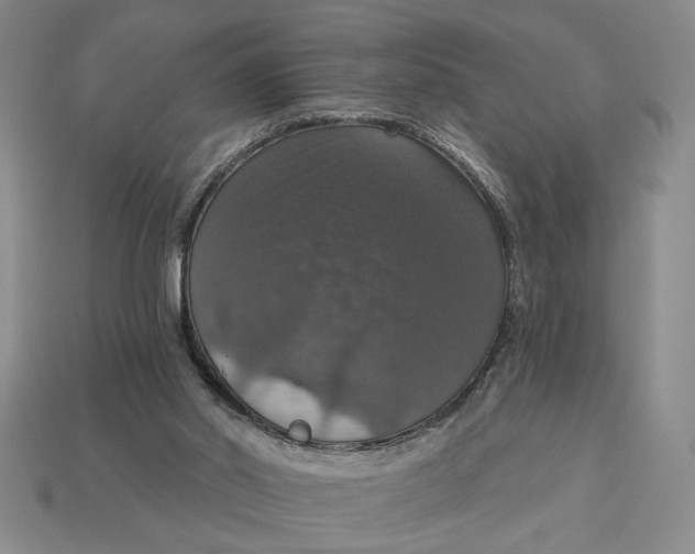 X0000112910014200909141301